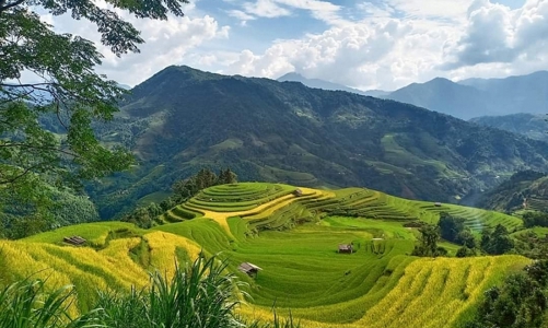 Thành lập thêm 2 Hội đồng điều phối vùng