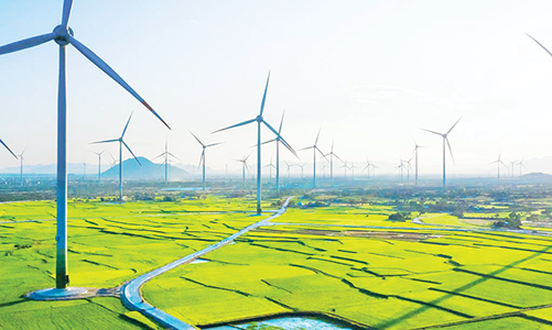 Nhiều doanh nghiệp ngại đi trên “con đường màu xanh”