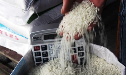 Lo ứng phó biến động mạnh giá gạo, ngành dự trữ khẩn trương hoàn thành kế hoạch được giao