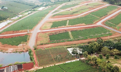 Lâm Đồng: Diện tích tối thiểu sau tách thửa tại đô thị là 40m2 