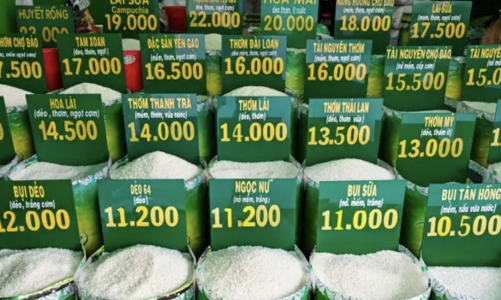 Giá gạo tăng dữ dội, lạm phát ở châu Á liệu có “bốc đầu”?