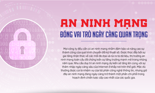 An ninh mạng đóng vai trò ngày càng quan trọng
