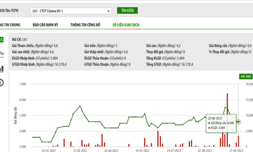 Lỗ lũy kế vượt vốn chủ sở hữu, cổ phiếu L61 vào diện kiểm soát và bị cắt margin