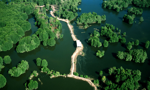 TP.HCM đẩy mạnh phát triển du lịch huyện Cần Giờ