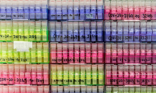 Giới khoa học chạy đua tìm hiểu biến thể mang đột biến bất thường