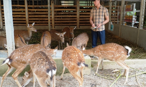 Thúc đẩy hệ sinh thái khởi nghiệp địa phương: Khai thác hiệu quả hơn nữa những tài nguyên bản địa