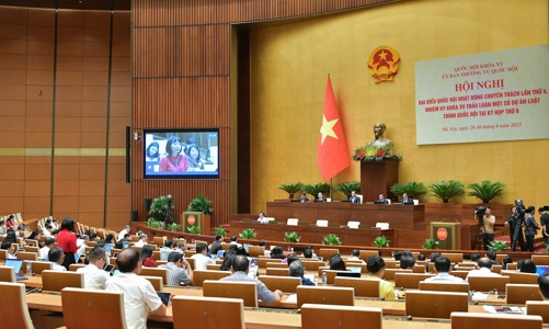 Cần thiết kế quy định việc cấp giấy tờ phù hợp với người gốc Việt