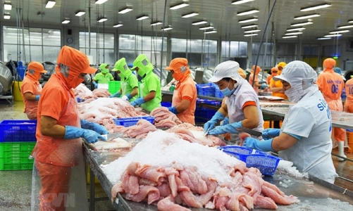 “Gồng mình” vượt khó, xuất khẩu cá tra sẽ nỗ lực mang về trên 1,7 tỷ USD