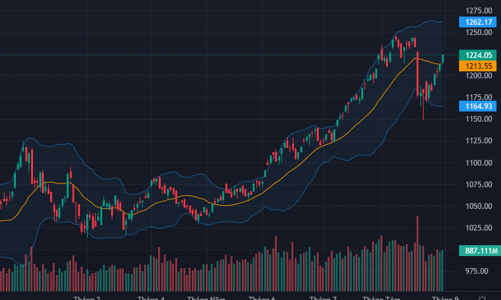 Khối ngoại tăng tốc mua vào, dòng tiền cân giá tốt đỡ VN-Index chốt ở đỉnh cao nhất phiên