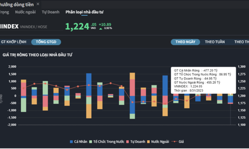 VIC bị khối ngoại xả mạnh, cá nhân và tự doanh cùng nhau gom hàng 