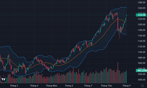 Tiền vào mạnh, VN-Index tăng phiên thứ 5 liên tiếp