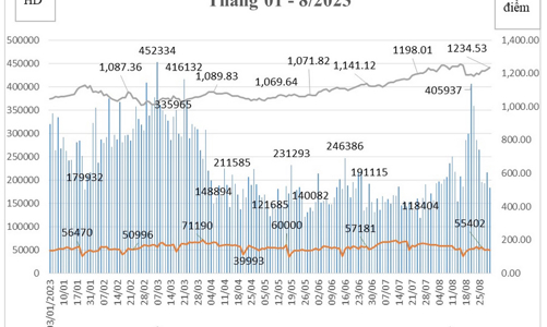 Tháng 8, tài khoản giao dịch chứng khoán phái sinh tăng 3,02%