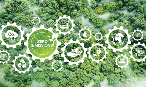 Hướng tới nền kinh tế carbon thấp: Yếu và thiếu nhân lực chuyển đổi xanh  