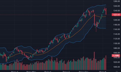 Nội, ngoại cùng bán tháo ồ ạt, VN-Index rời đỉnh