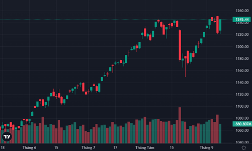 Cổ phiếu chứng khoán tím ngắt, VN-Index tăng vọt gần 22 điểm