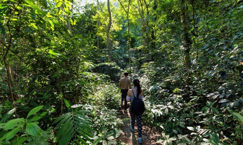 Tìm hướng khai thác dư địa du lịch trị liệu của Việt Nam