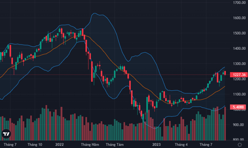 Giao dịch ETF đỡ điểm số, thanh khoản vẫn lao dốc mạnh