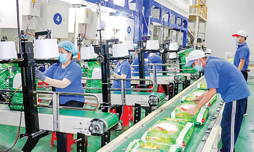 Đưa hàng Việt thâm nhập sâu vào EU: Còn phải vượt nhiều rào cản