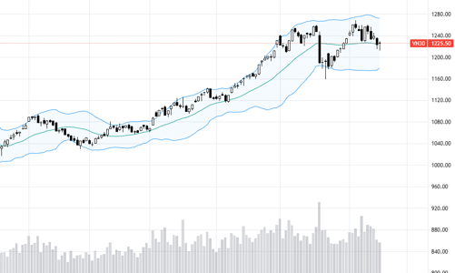 Blog chứng khoán: Có cầu bắt đáy