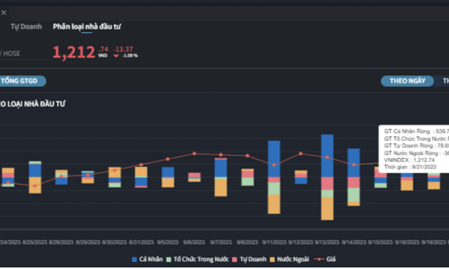 Bất chấp xả hàng, nhà đầu tư cá nhân vẫn mua ròng mạnh gần 540 tỷ đồng