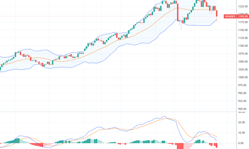Xu thế dòng tiền: Thị trường có thể kiểm định đáy tháng 8, nên cắt lỗ hay bình quân giá?