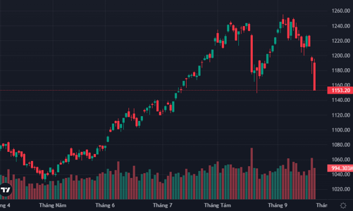 Bán tháo dữ dội, hơn 170 mã giảm sàn, VN-Index có phá đáy?