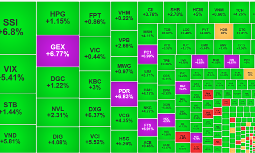 Đảo chiều rực rỡ, VN-Index giành lại gần 16 điểm