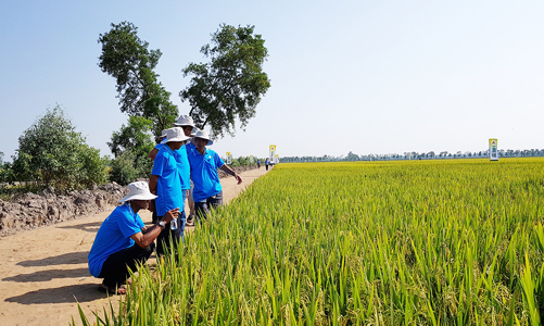 An Giang đẩy mạnh tín dụng chính sách phục vụ người dân