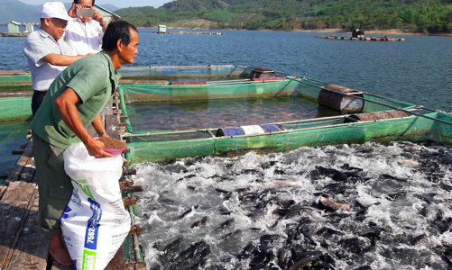 Xuất khẩu thủy sản đang dần lấy lại đà tăng trưởng