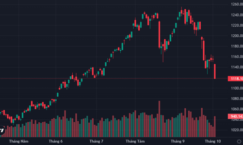 VN-Index thủng đáy, bán tháo ồ ạt đẩy hơn 80 mã giảm sàn