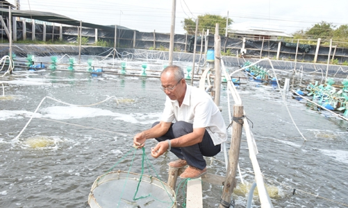 Nông dân xuất sắc năm 2023 đạt doanh thu cao nhất lên tới 140 tỷ đồng