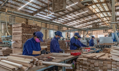 Phụ nữ bảo vệ rừng vẫn thiệt thòi trong chi trả dịch vụ môi trường rừng