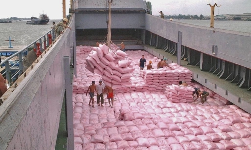 Ủng hộ đầu tư, nâng cấp các bến cảng và tuyến đường bộ ở An Giang