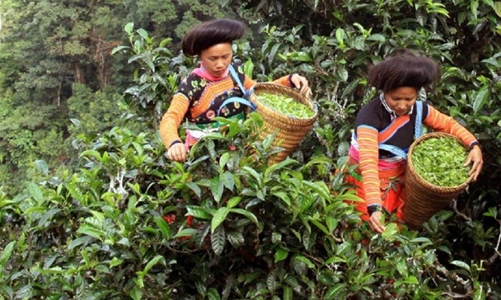 Định vị thương hiệu cho sản phẩm vùng đồng bào dân tộc thiểu số 