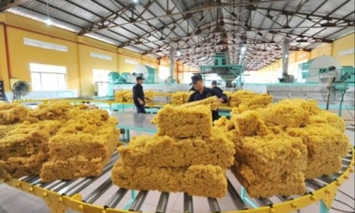 Xuất khẩu cao su “bỏ trứng vào một giỏ” nhưng giá bán thấp nhất so với các đối thủ