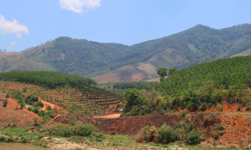 Tiếp tục kiểm tra, xử lý nghiêm vi phạm trong sử dụng đất nguồn gốc nông lâm trường