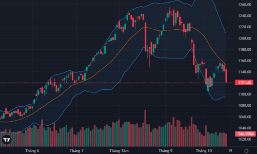 Lại tranh bán tháo, gần 30 mã giảm sàn, VN-Index rơi mạnh nhất 10 phiên