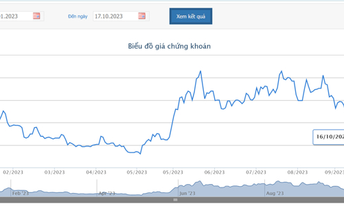 Chậm nộp báo cáo bán niên 2023 soát xét, cổ phiếu SJF bị chuyển sang diện hạn chế giao dịch