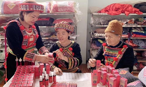 Cần thêm giải pháp mạnh để thúc đẩy tiêu thụ sản phẩm vùng đồng bào dân tộc thiểu số trên sàn thương mại điện tử