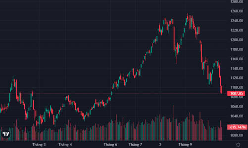 Cầu bắt đáy nằm im, hàng cắt lỗ bị ép bán tháo