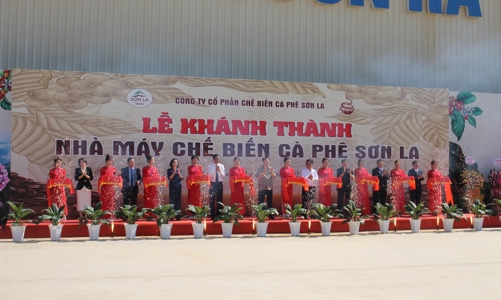 Nhà máy chế biến cà phê lớn nhất Tây Bắc chính thức vận hành