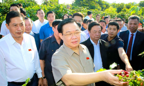 Đầu tư liên kết phát triển bền vững cà phê Sơn La