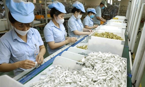 Hơn nửa triệu lao động doanh nghiệp FDI Nhật Bản tham gia bảo hiểm xã hội