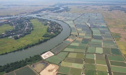 Quảng Trị đã xử lý nhiều doanh nghiệp gây ô nhiễm môi trường  