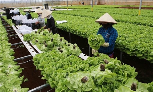 Doanh nghiệp cần tận dụng cơ hội từ ứng phó với biến đổi khí hậu 