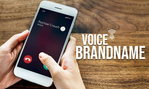 Bộ Thông tin và Truyền thông và các nhà mạng sử dụng tên định danh để chống cuộc gọi mạo danh