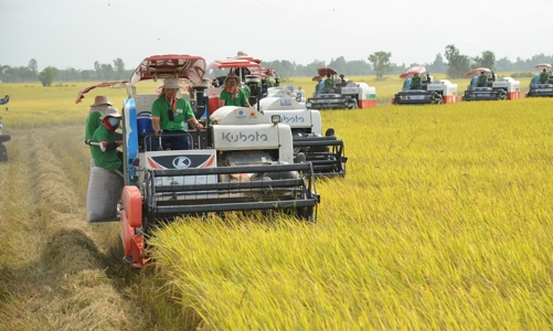 Xuất khẩu nông sản Việt Nam giữ vững đà tăng trưởng