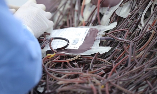 Các bệnh viện vùng Đồng bằng sông Cửu Long tái diễn tình trạng thiếu máu