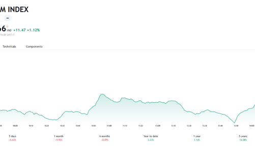 Thị trường có thể xuất hiện nhịp hồi phục kỹ thuật, tuy nhiên rủi ro ngắn hạn là khá cao