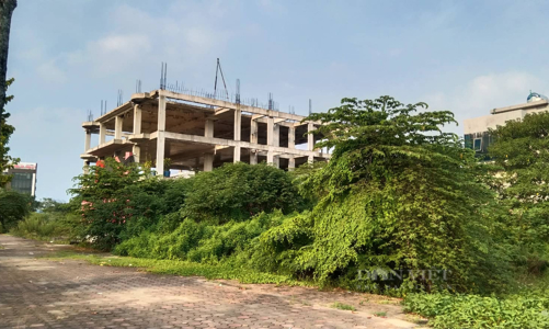 Hà Nội xem xét, xử lý những vi phạm tồn tại của khu đô thị Thanh Hà